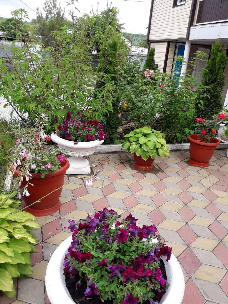 . Гостевой дом "Татьяна". Джубга . Гостевой дом "Татьяна". Джубга