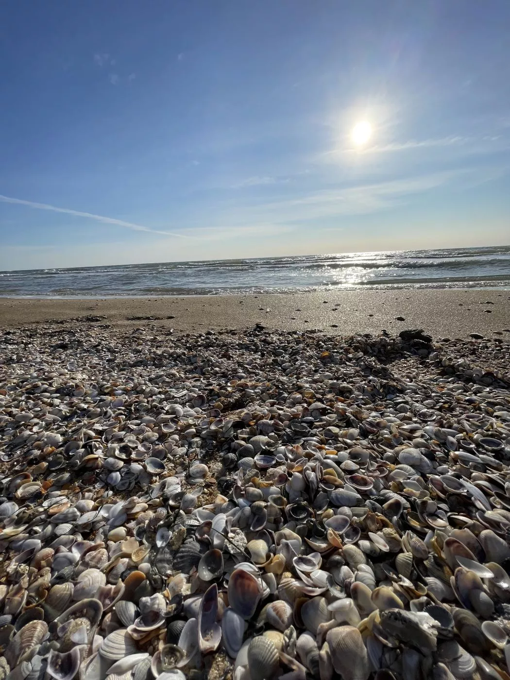 . Гостевой дом "Фламинго". Нижнее Джемете