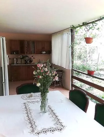 . Гостевой дом МАРИЯ - Гудаута. Гудаута