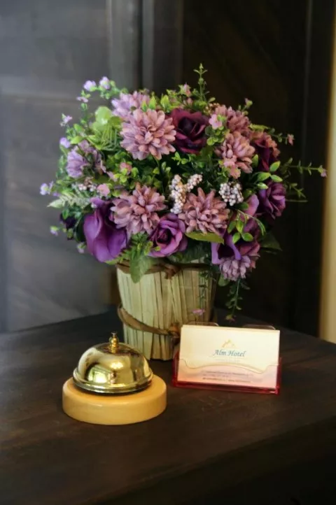 . Отель Alm Hotel. Красная Поляна