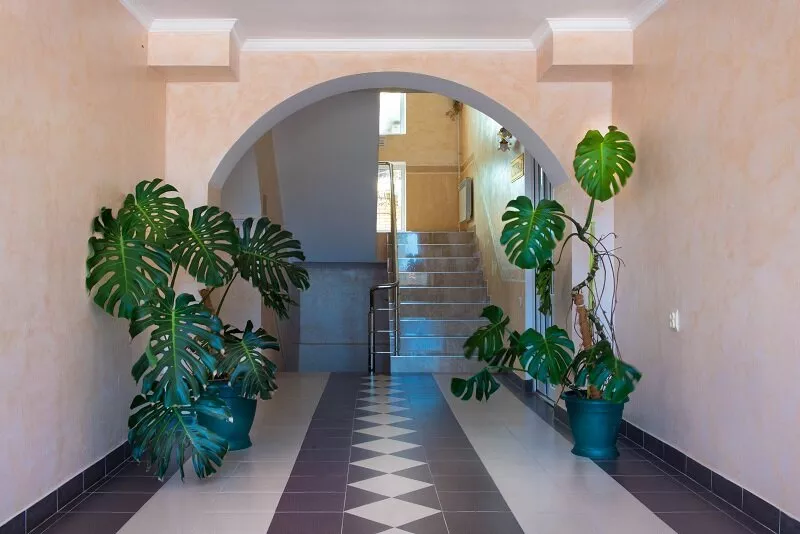 . Гостевой комплекс "Екатерина". Витязево