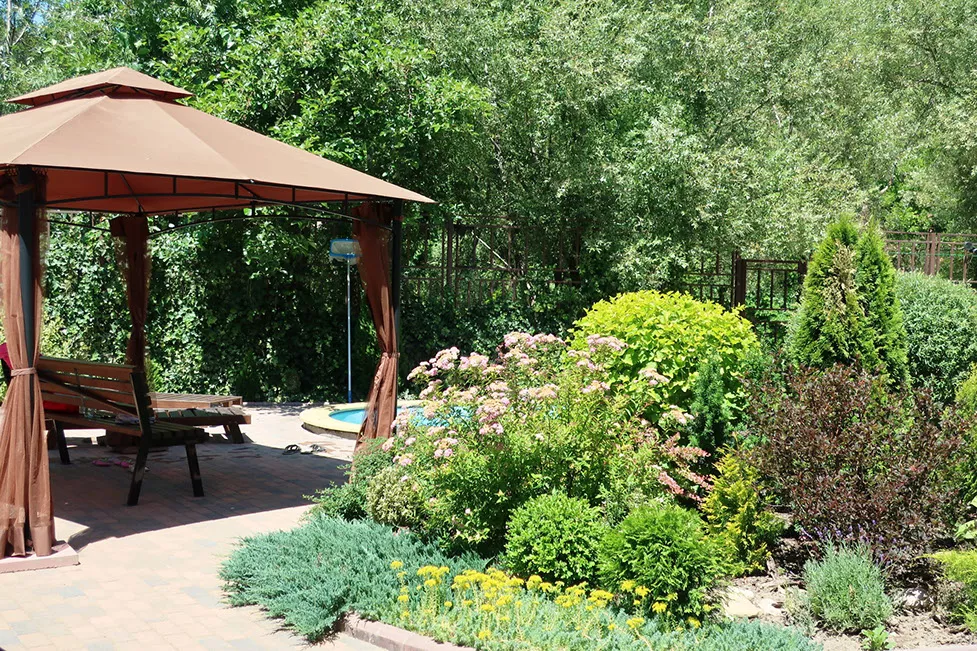 . Гостевой дом «Шоколад»    . Ольгинка