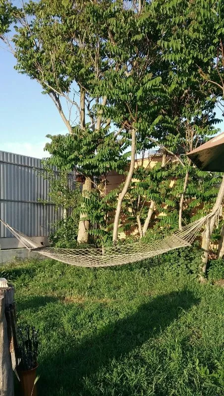 . Гостевой дом "У Ольги" - Должанская. Должанская . Гостевой дом "У Ольги" - Должанская. Должанская