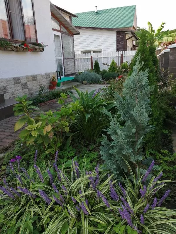 . Частный сектор "Дом у моря" - Кудепста. Кудепста