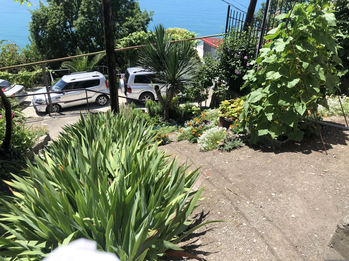 . Квартира со своей личной беседкой и качелями . Лазаревское