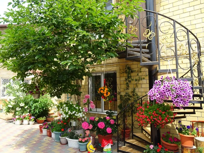 . Дом под ключ Королева 10. Коктебель