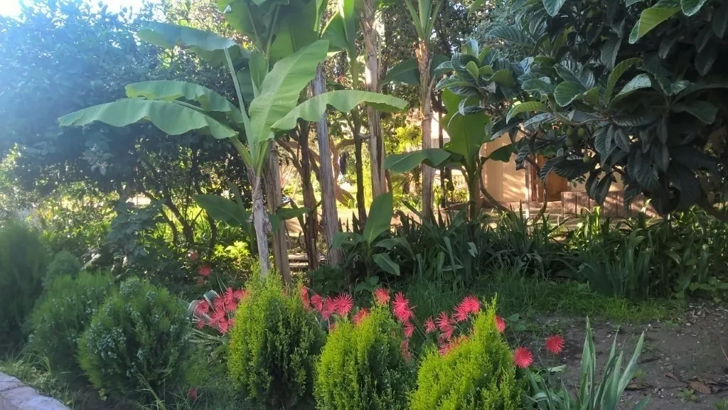 . Частный сектор "У Андрея" - Адлер. Адлер