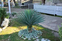 Отель Пшандра Отель Пшандра