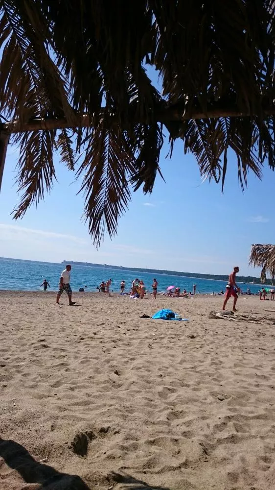 . Частный сектор Приморская 2 в Пицунде. Пицунда . Частный сектор Приморская 2 в Пицунде. Пицунда