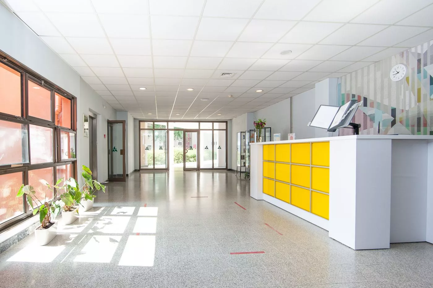 . Санаторий Самшитовая роща. Пицунда