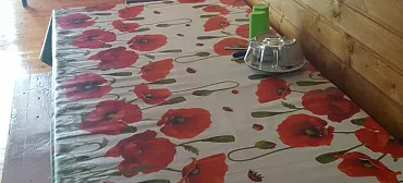 Гостевой дом У Ирины Гостевой дом У Ирины