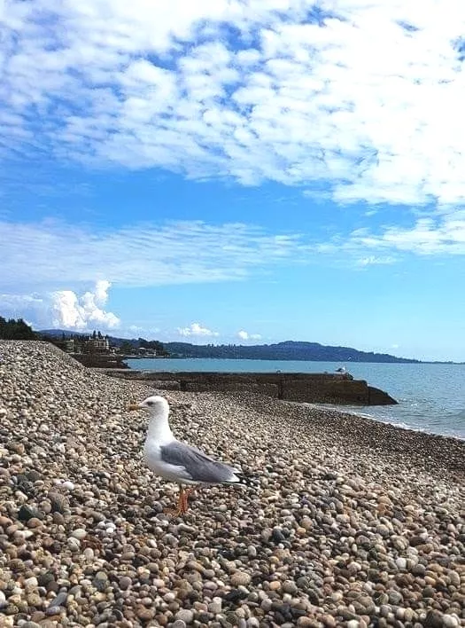. Частный сектор Одноэтажный. Гудаута