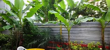 Гостиница "Патио"