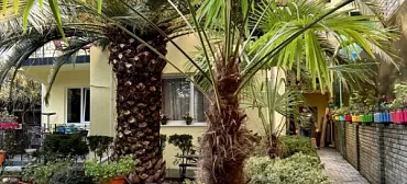 Гостиница "Пижама" 