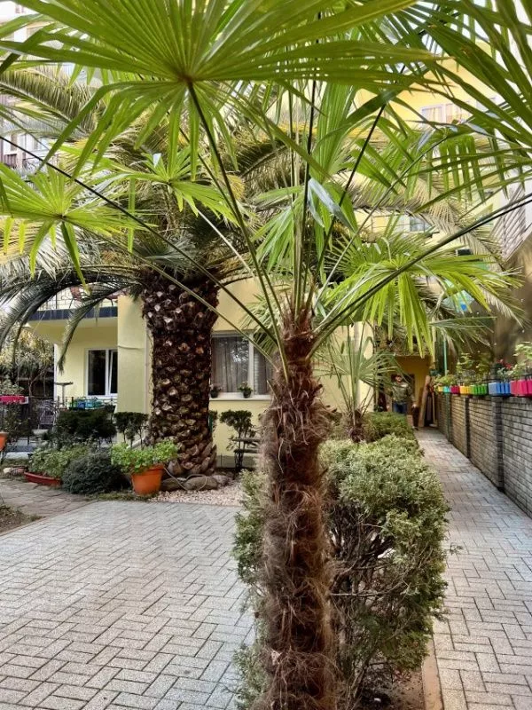 . Гостиница "Пижама" . Адлер