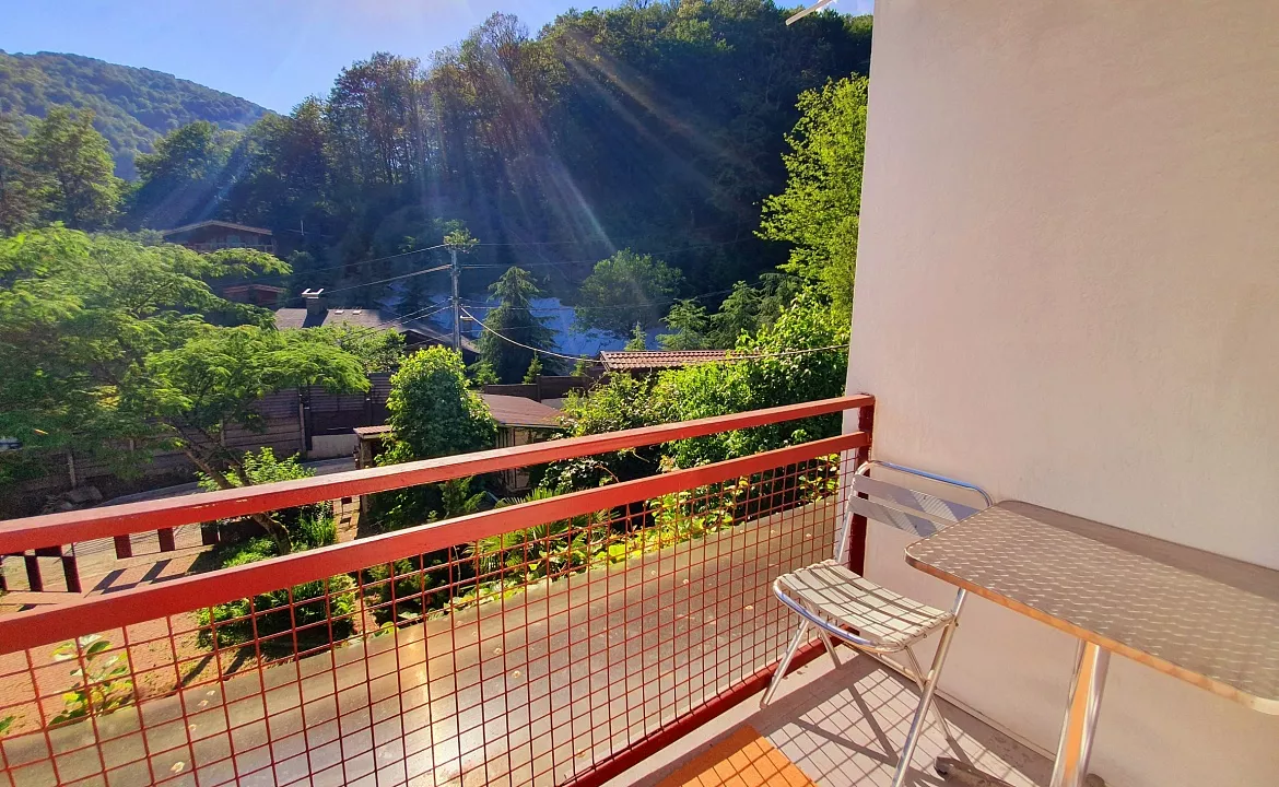 Двухкомнатный четырехместный с балконом и кухней. Гостевой дом Родник. Красная Поляна