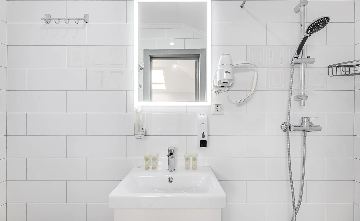 стандарт твин мансарда. Отель отель Авис. Криница