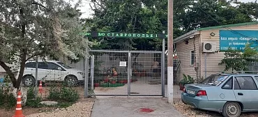 База отдыха Ставрополье1