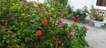 Частный сектор У Саиды