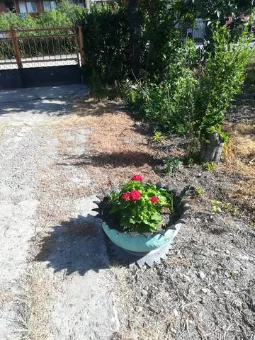 . Частный сектор "У Сусанны". Пицунда