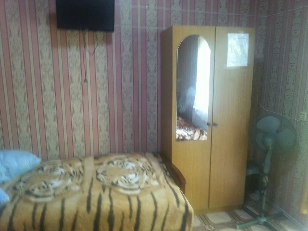 . Частный сектор "Райский уголок" - Хоста. Хоста