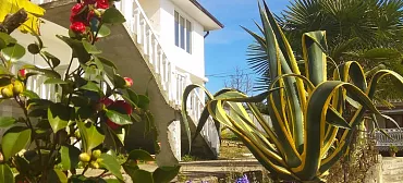 Гостиница Nargiz