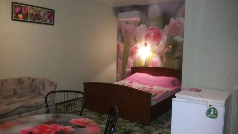 1-комнатный 2-3-местный номер 