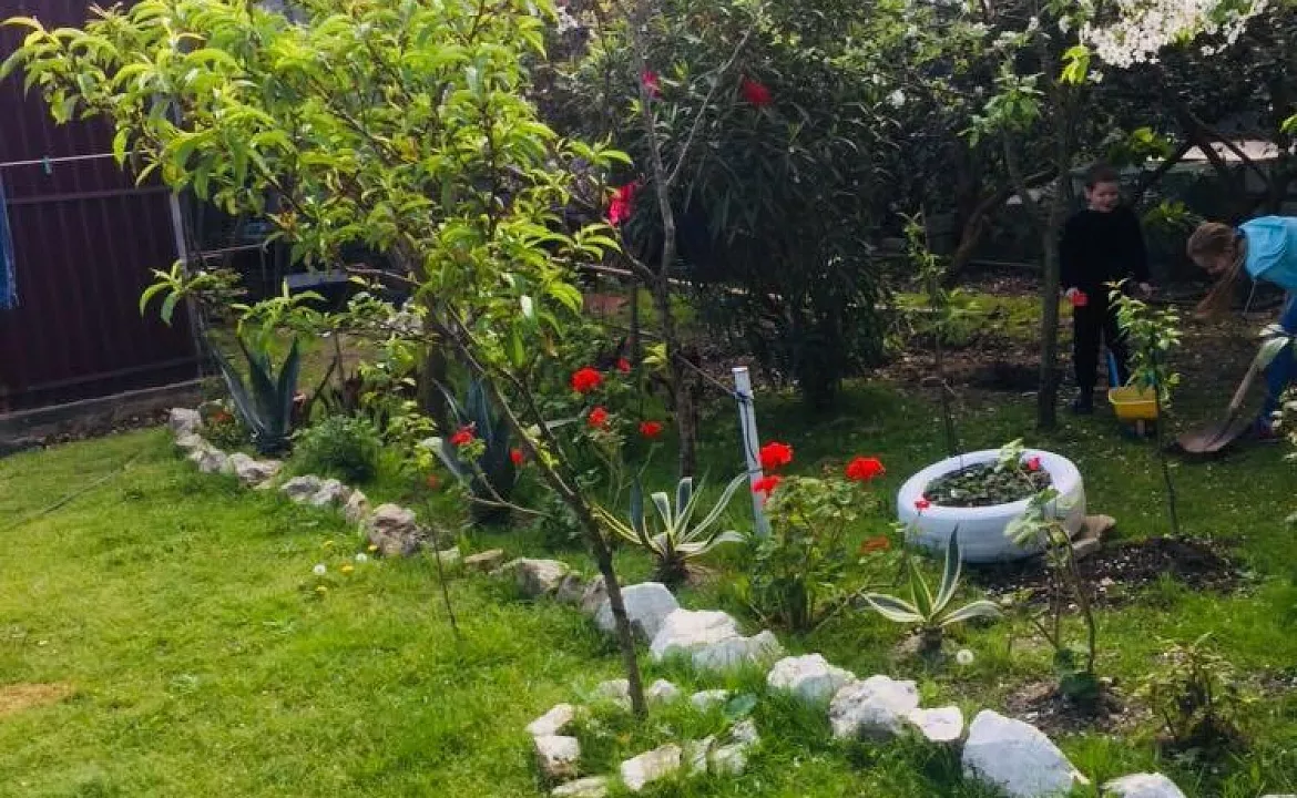 Двухместный стандарт . Гостевой дом гостевой дом Новая Гагра. Гагра