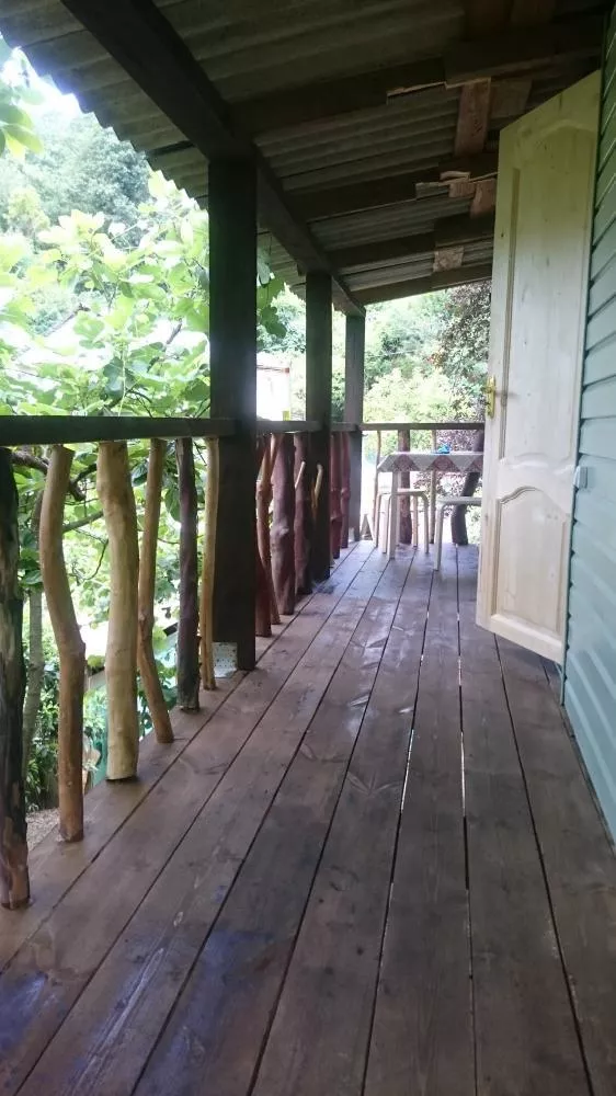 . Частный сектор Приморская 2 в Пицунде. Пицунда . Частный сектор Приморская 2 в Пицунде. Пицунда