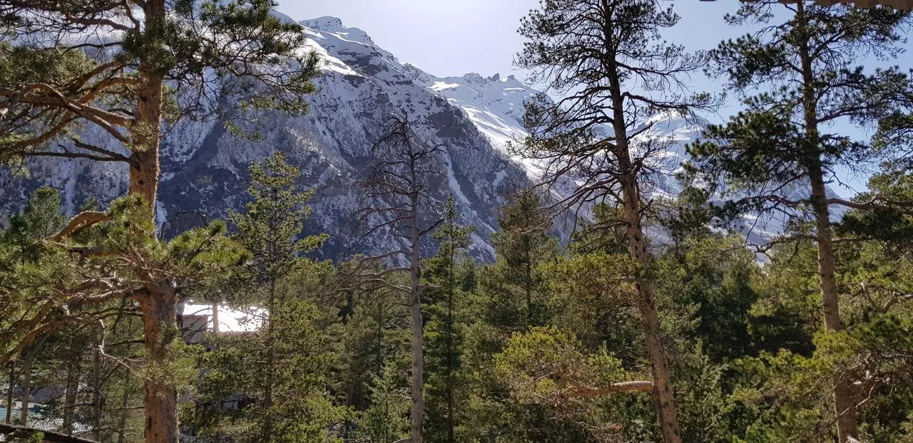 . Отель «Терскол». Эльбрус - гостиницы