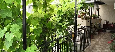 Частный сектор На Толстого 9