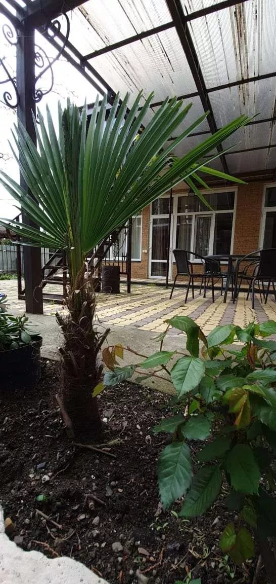 . Гостевой дом Гостевой дом «Уют». Небуг