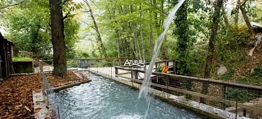 База отдыха "Алексеевка"