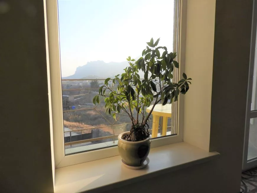 . Гостевой дом «Эдельвейс». Коктебель