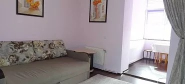 Квартира в многоквартирном доме 1 комнатная квартира