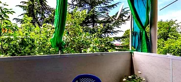 Гостевой дом "Виолетта"