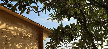 Коттеджи на берегу моря со всеми удобствами 