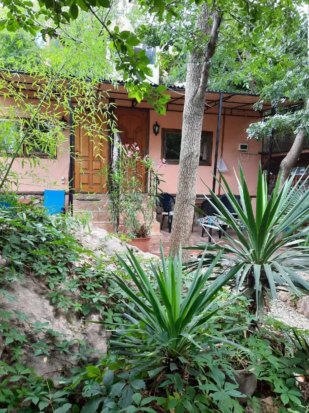 . Гостевой дом «Ясеневая роща». Балаклава . Гостевой дом «Ясеневая роща». Балаклава