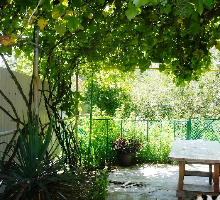 . Гостевой дом "Усадьба Александр" . Шепси . Гостевой дом "Усадьба Александр" . Шепси