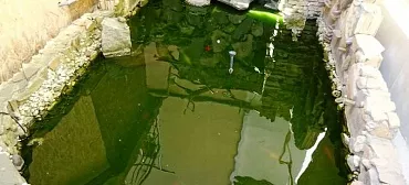 Гостевой дом "Магнолия" 