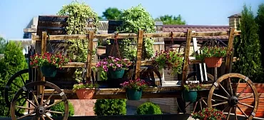 Развлекательный комплекс "Немецкая лобода"