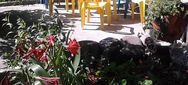 Частный сектор Авроры 1/3