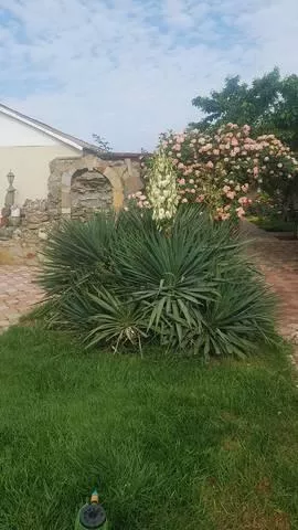 . Гостевой дом Есения. Заозерное