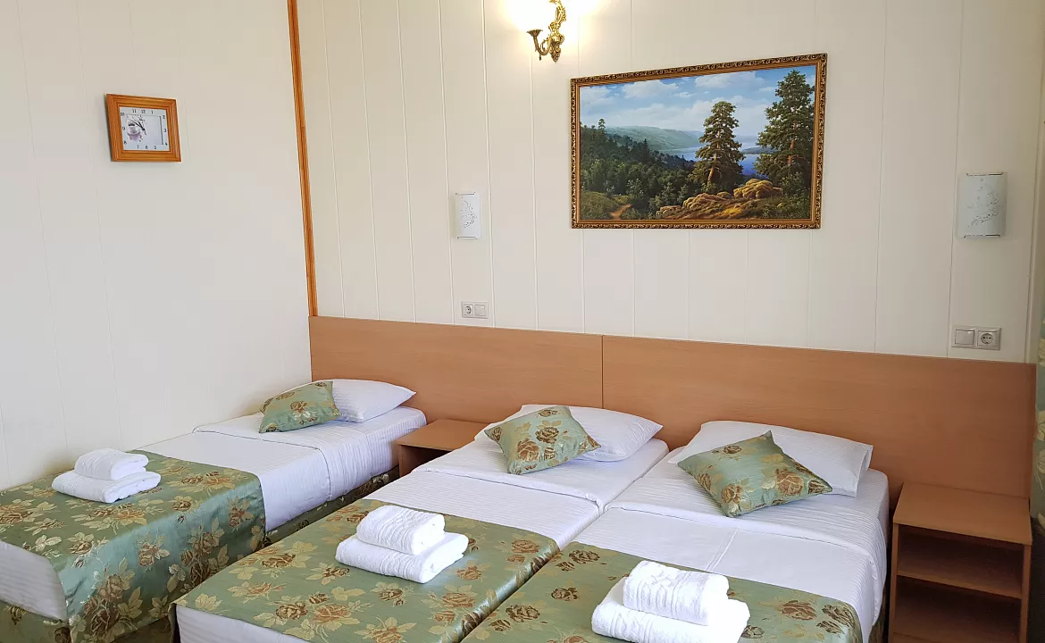 Люкс со смежным балконом 3хместный. Отель АСТОН. Нижнее Джемете