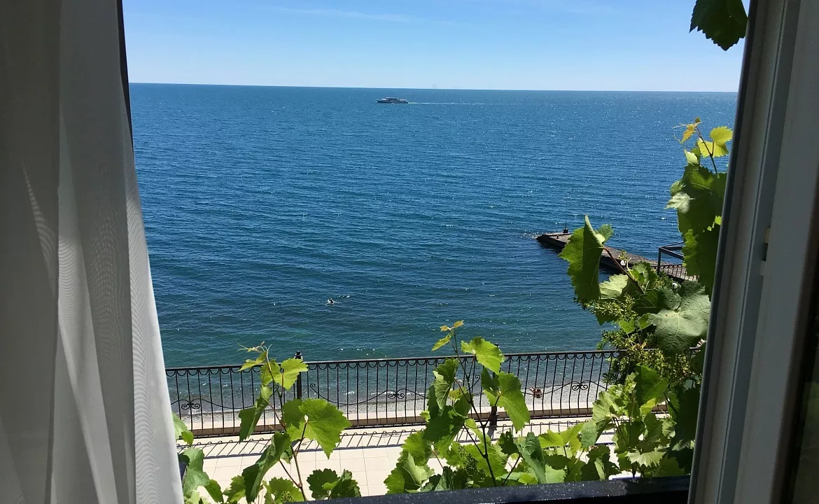 Семейный номер Люкс с французским балконом. Эллинг "Селена". Отрадное