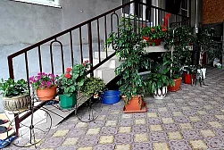 Гостиница "Долина цветов"