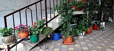 Гостиница "Долина цветов"