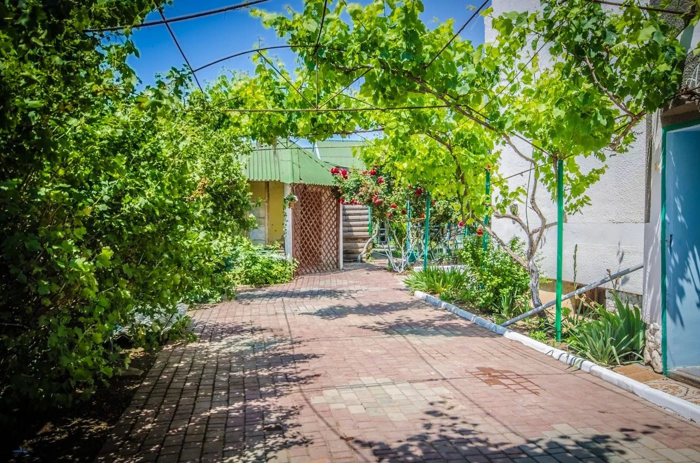 . Частный сектор Семейный дом " Виктория".. Отдых с детьми