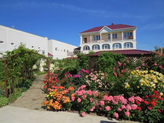 . Вилла "Лилия". Евпатория