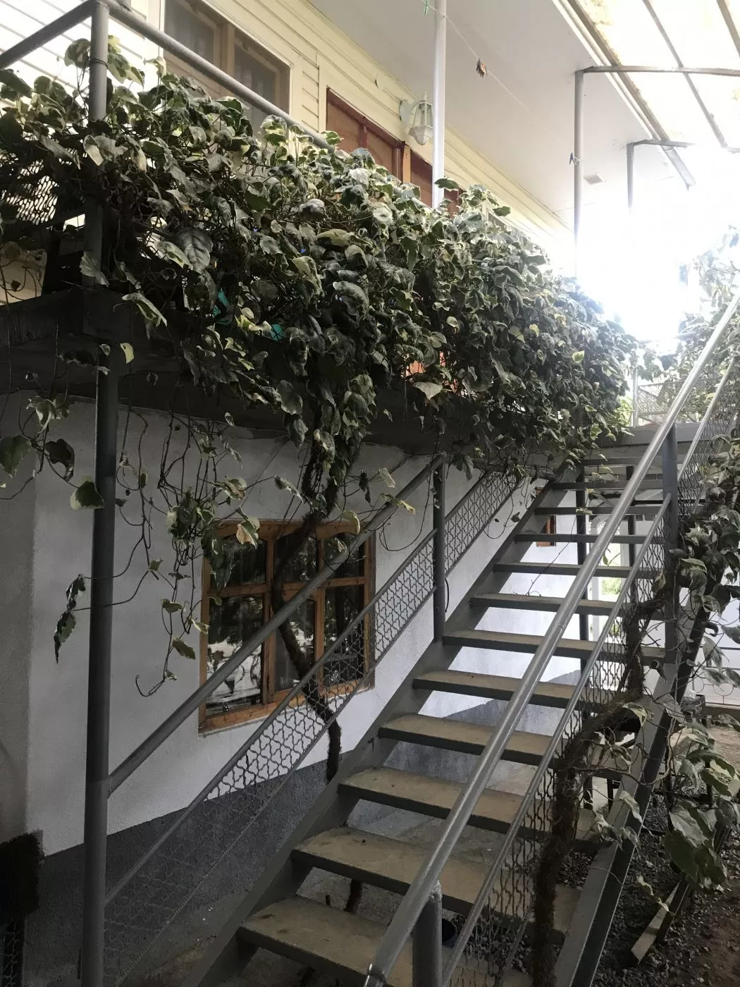 . Частный сектор на Адыгаа. Гагра